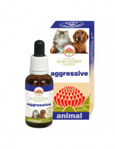 Aggressive 30 Ml