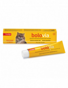 Bolo Via Pasta Gatti 100 G