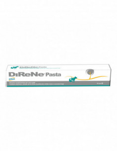 Direne Pasta 15 Ml