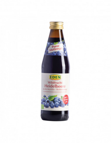 Succo Madre Mirtillo Bio 330ml