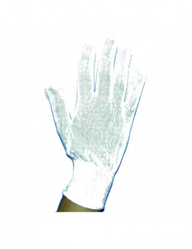 Guanto In Cotone Bianco 8,5