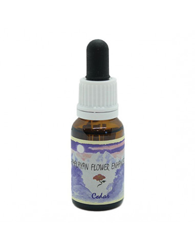 Cedar 15ml