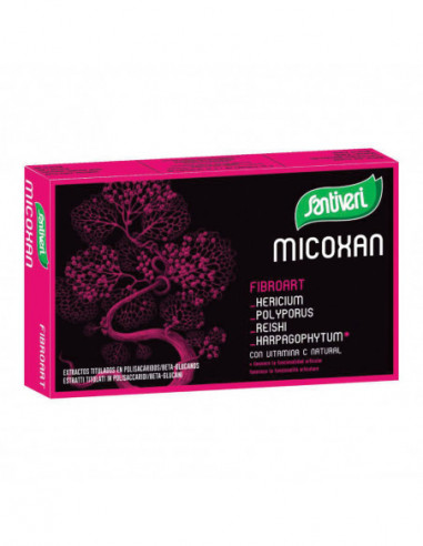 MICOXAN FIBROART 40 CAPSULE