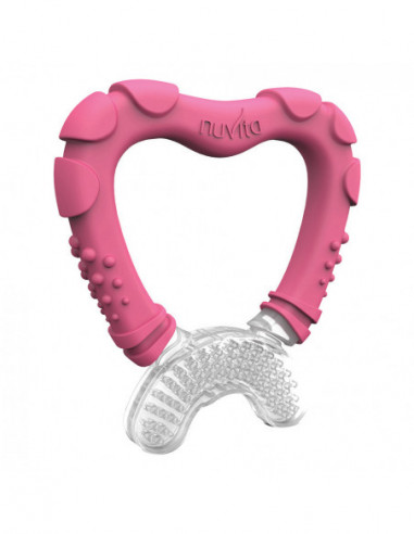 Massaggia Gengive 4mesi + Rosa