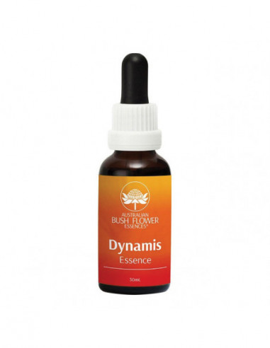 Dynamis 30 Ml 1 Pezzo