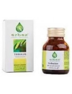 Tribulus 100 Capsule