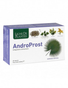 Androprost 60 Capsule