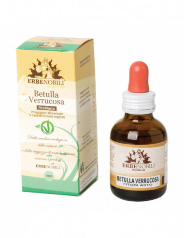 Fitoblasto Betulla Verrucosa Linfa 50 Ml