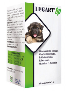 Legart Up 60 Compresse Da 1 G