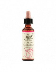Star Of Bethl Orig 20 Ml