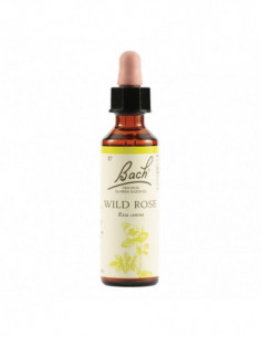 Wild Rose Bach Orig 20 Ml