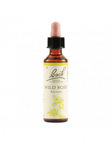 Wild Rose Bach Orig 20 Ml