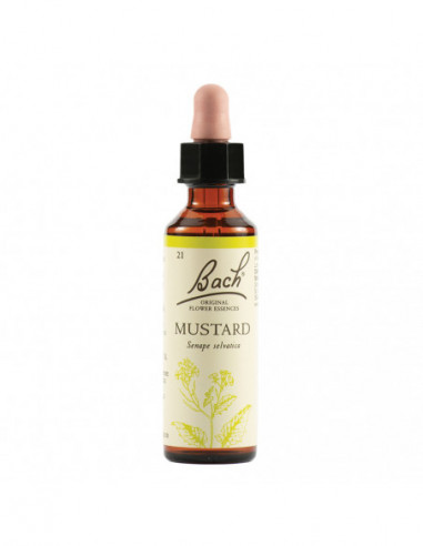 Mustard Bach Orig 20 Ml