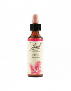 Pine Bach Orig 20 Ml
