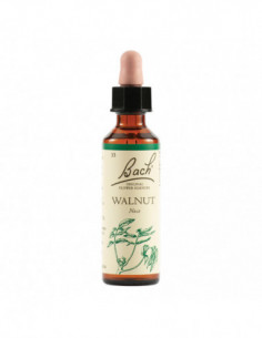 Walnut Bach Orig 20 Ml