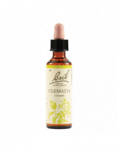 Clematis Bach Orig 20 Ml