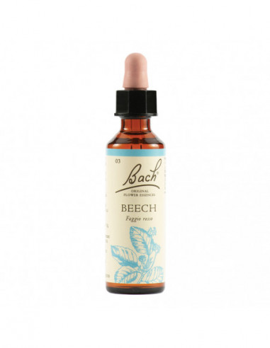 Beech Bach Orig 20 Ml