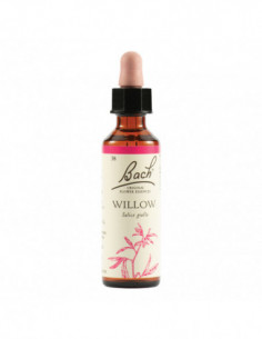 Willow Bach Orig 20 Ml