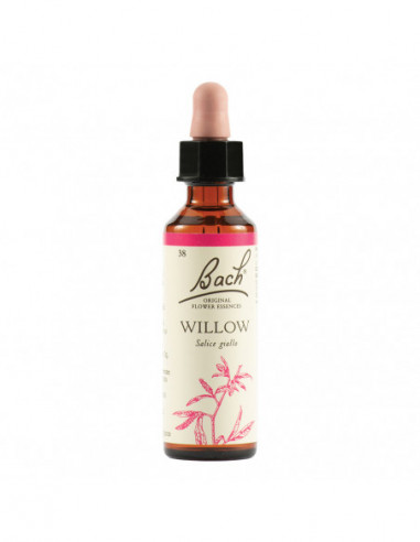Willow Bach Orig 20 Ml