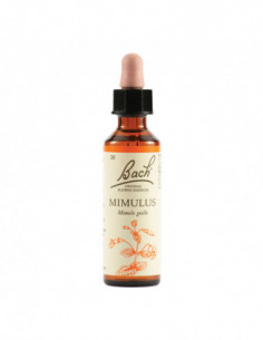Mimulus Bach Orig 20 Ml