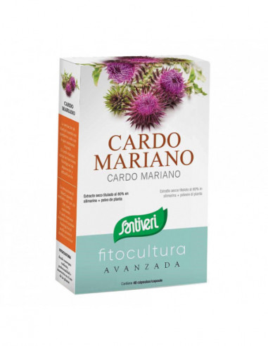 Cardo Mariano 40 Capsule