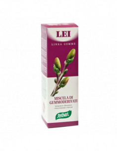 Zefirus Lei Linea Gemme