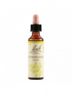 Honeysuckle Bach Orig 20 Ml