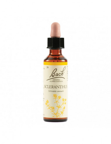 Sclerantus Bach Orig 20 Ml
