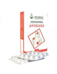 Antalgea 40 Capsule