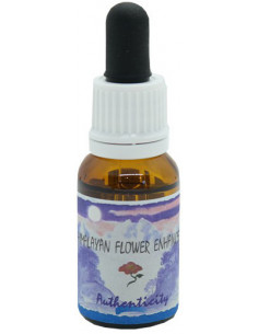 Authenticity Essenza 15 Ml...
