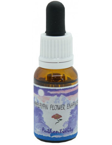 Authenticity Essenza 15 Ml 1 Pezzo