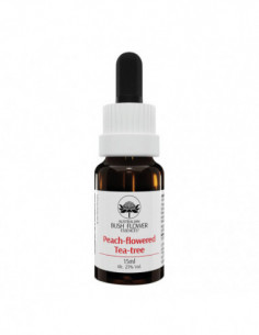 Bach Center Ess Clematis 20ml