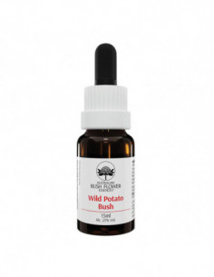 Bach Center Ess Gentian 20ml