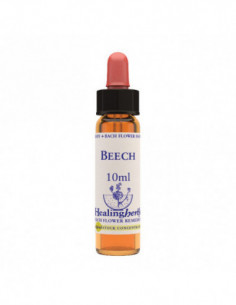 Bach Center Ess Red Chestnut20