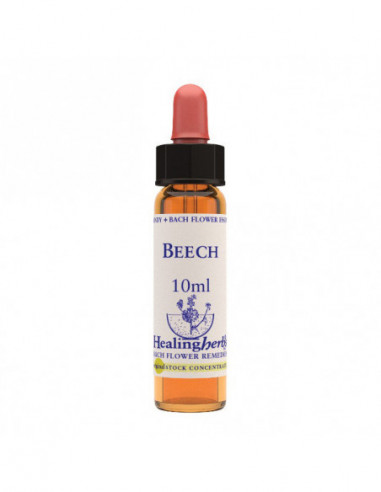 Bach Center Ess Red Chestnut20