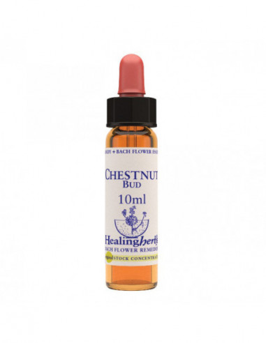 Bach Center Essence Holly 20 Ml