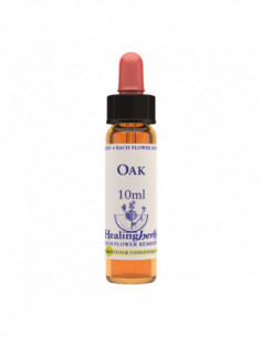 Bach Center Ess Centaury 20ml
