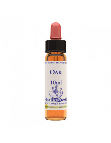 Bach Center Ess Centaury 20ml