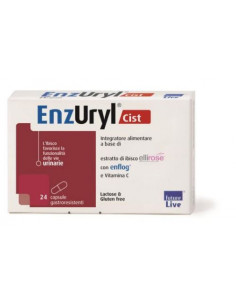 Enzuryl Cist 24 Capsule