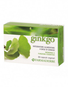 Ginkgo Biloba 60 Capsule