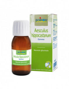 Aesculus Hipp Boiron...