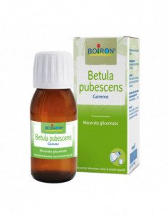 Betula Pubesc Boiron...