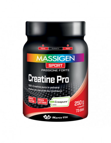 Massigen Sport Creatine Pro 250 G