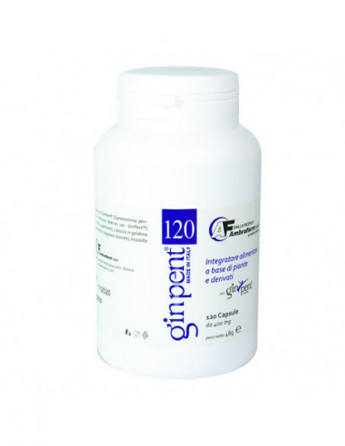 GINPENT 120 CAPSULE 400 MG