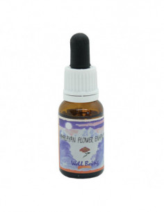 Well Being Essenza 15 Ml 1...