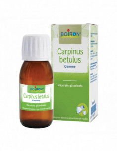 Carpinus Bet Boiron...