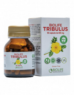 Tribulus Terrestris 60 Capsule