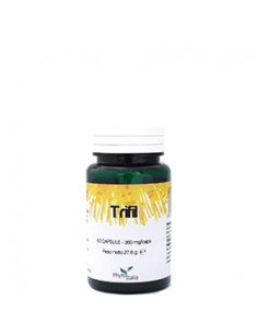 Trifil 60 Capsule