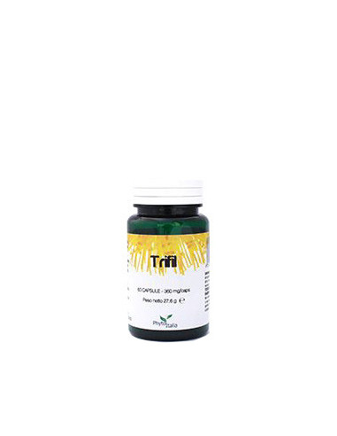 Trifil 60 Capsule