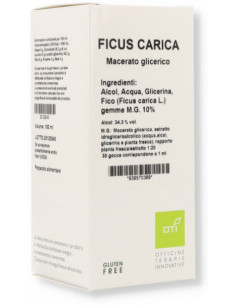 Ficus Carica Macerato...